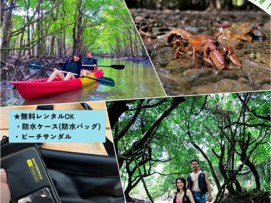 吹通川マングローブ群落でのカヤック or SUP体験ツアー　新たな発見がいっぱいの熱帯雨林を探検！マングローブ群落に上陸も可＜石垣島／写真付／2時間＞