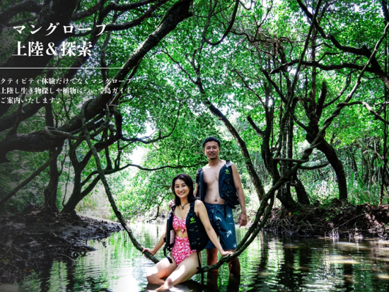 吹通川マングローブ群落でのカヤック or SUP体験ツアー　新たな発見がいっぱいの熱帯雨林を探検！マングローブ群落に上陸も可＜石垣島／写真付／2時間＞