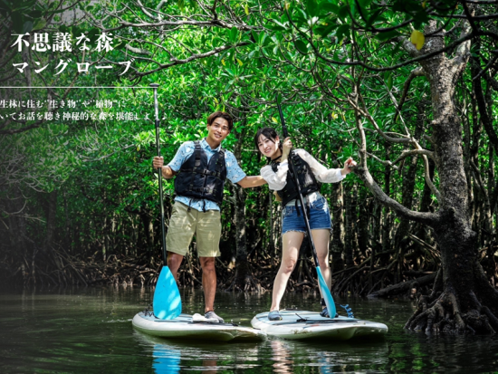 吹通川マングローブ群落でのカヤック or SUP体験ツアー　新たな発見がいっぱいの熱帯雨林を探検！マングローブ群落に上陸も可＜石垣島／写真付／2時間＞
