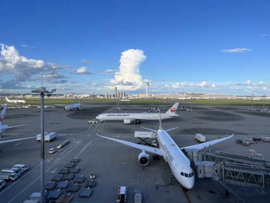 【到着日におすすめ】空港から行く！ベルサイユ宮殿 午前観光ツアー　集合場所まで専用車にてお送り＜日本語／シャルル・ド・ゴール空港発＞