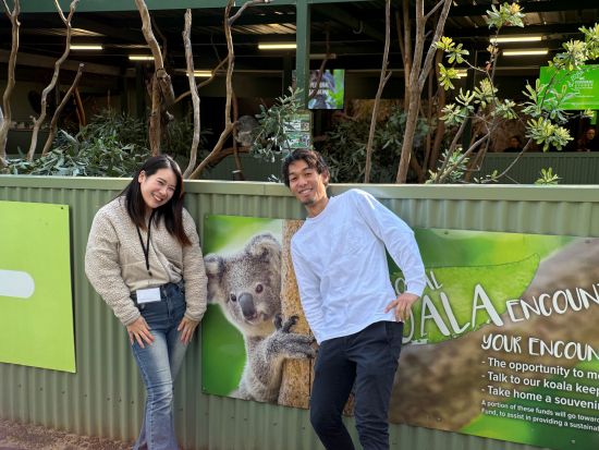 世界遺産ブルーマウンテンズ1日観光ツアー　ルーラ＆シーニックワールドなどの人気観光地を巡る！＜日本語ガイド／選べるプランあり＞