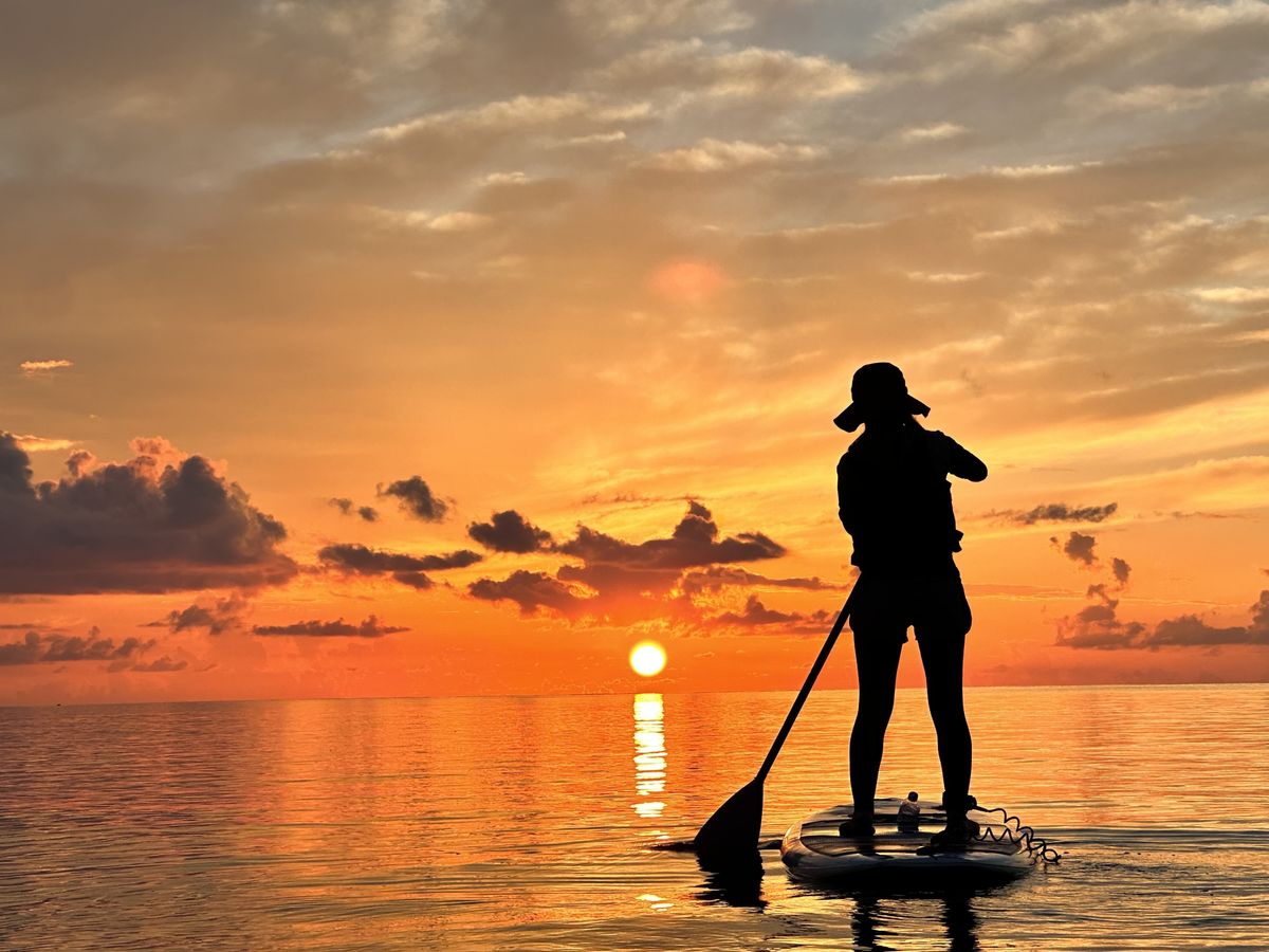 SUP or カヤック体験 茜色に染まるサンセット&神秘的なマングローブ