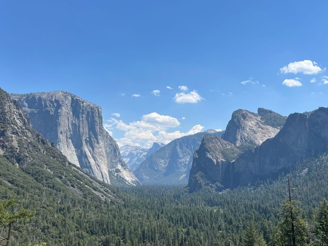 ヨセミテ国立公園 | サンフランシスコ 旅行の観光・オプショナルツアー