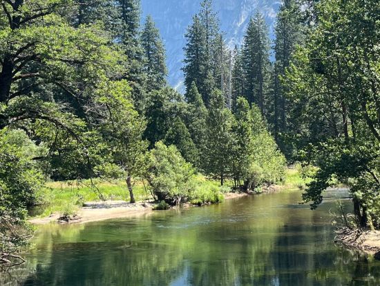 世界遺産ヨセミテ国立公園 日帰りツアー　経験豊富なガイド付き観光と1.5時間の自由散策で氷河が創り出した絶景を満喫 ＜昼食付き／日本語ガイド＞