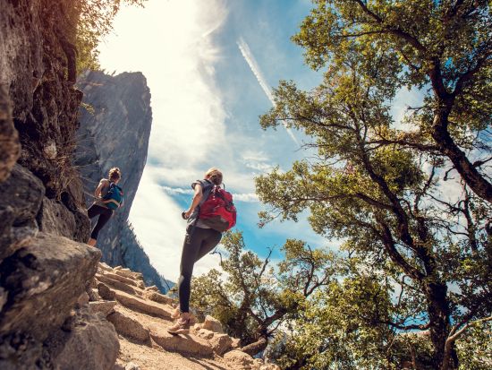 世界遺産ヨセミテ国立公園 日帰りツアー　経験豊富なガイド付き観光と1.5時間の自由散策で氷河が創り出した絶景を満喫 ＜昼食付き／日本語ガイド＞