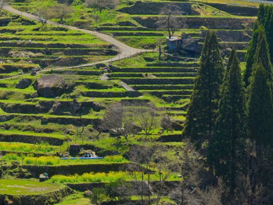 アニメ夏目友人帳のモデル地 人吉・球磨地域を観光案内ドライバーとめぐるタクシープラン