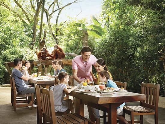 Singapore Zoo - Jungle Breakfast with Wildlife 2