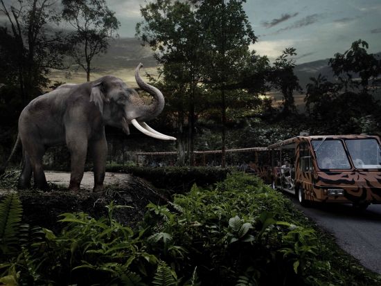 【早朝空港お迎え付き】マンダイ レインフォレスト リゾート by バンヤンツリー宿泊ツアー　動物園＋動物との朝食付き！ナイトサファリプランあり＜英語ドライバー＞