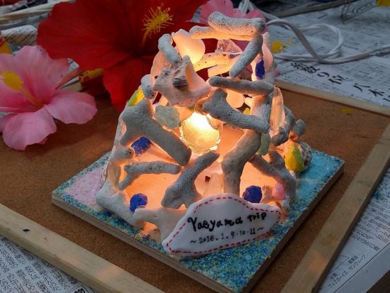 サンゴランプ作り体験 サンゴ・貝殻でつくるオリジナルランプ ＜当日持ち帰り／約1時間30分／石垣島＞