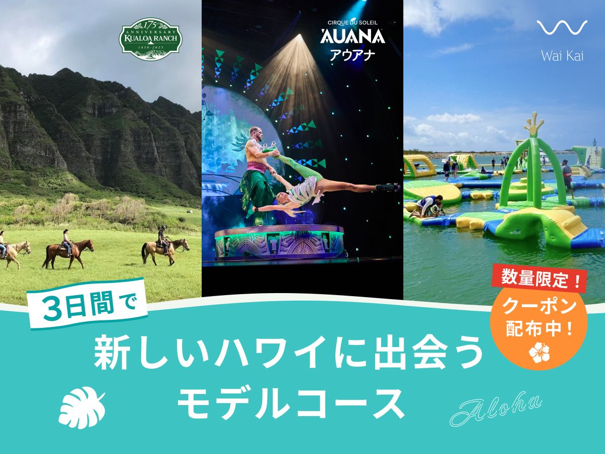 花火鑑賞クルーズ ホクラニ号 ドリンク＆スナック持ち込みOK