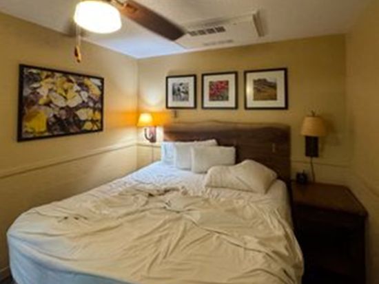 【ヨセミテバレーロッジ宿泊】世界遺産ヨセミテ国立公園1泊2日ツアー　ヨセミテ滝徒歩圏内でアクセス抜群　渓谷の朝焼け・星空を堪能！2日目は自由散策＜日本語ガイド＞