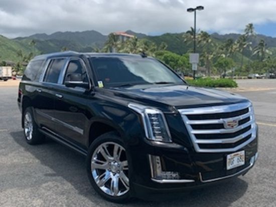 貸切チャーター　オアフ島を自由に観光！あなただけのオーダーメイドツアー＜1～24名／4～8時間／英語・日本語ガイド＞