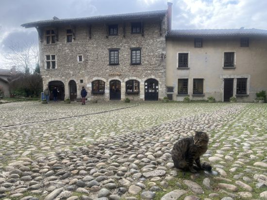 中世の村ペルージュ 半日観光ツアー　老舗店のガレットとシードル付き ＜貸切／日本語アシスタント付きあり／リヨン発＞