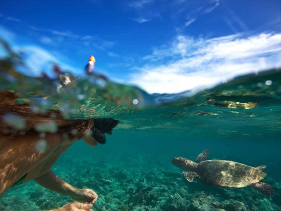 shutterstock_354305483