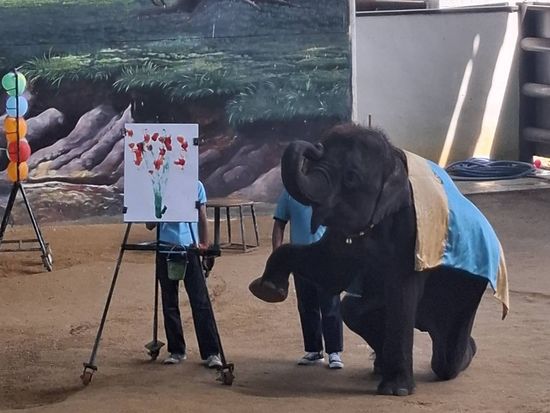 動物園24