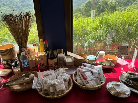 観光列車で行く！世界遺産フエ観光ツアー カイディン帝廟+トゥドゥック帝廟+ティエンムー寺+ グエン朝王宮 ＜1日／日本語ガイド／フエ名物の昼食付き／ダナン発>