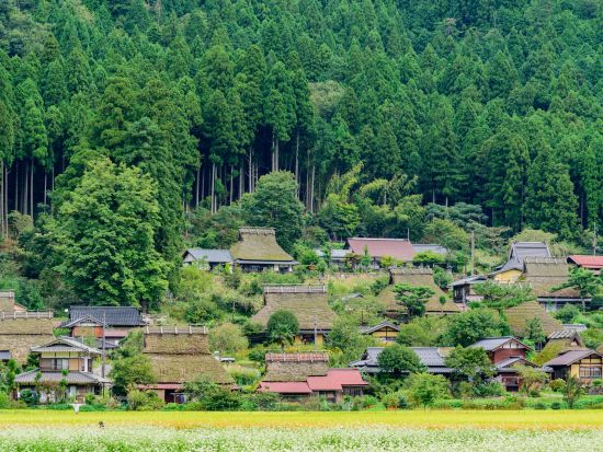 新緑の嵯峨野トロッコ列車と美山かやぶきの里 京のおばんざいランチビュッフェ＜抹茶ラテ付き／梅田 or 新大阪発＞