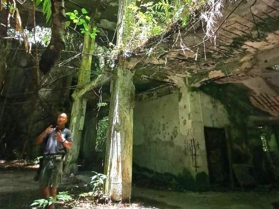 ペリリュー島戦跡ツアー　日本語ガイドと歴史を辿る1日ツアー＜昼食付／送迎付き＞by Rock Island Tour Company