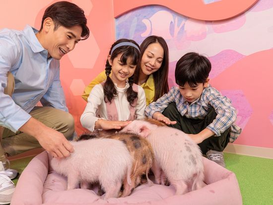 9218V_16be4fe6-2f08-444e-99a5-21