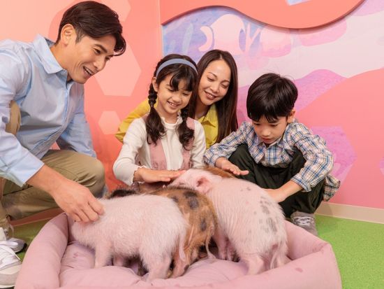 DMMかりゆし水族館 入館チケット 2025＜豊見城市＞