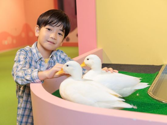 DMMかりゆし水族館 入館チケット 2025＜豊見城市＞