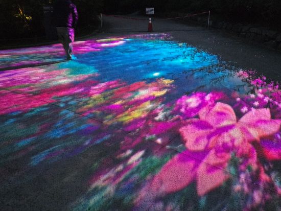 KakaoTalk_20250604_125004745 (1)