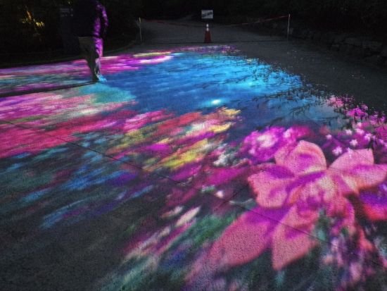 ソウル夜景貸切ツアー 夜の昌慶宮観覧、興仁之門公園、東大門ショッピング （3.5時間,ホテルまでの送迎付き）＜日本人スタッフ常駐サポート＞