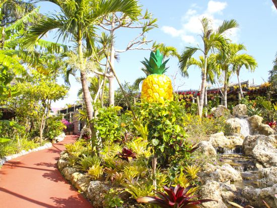 名護パイナップルパーク入場チケット  ベルトラ沖縄ラウンジ受け取り 事前引き換えで楽々入館 ラウンジ来店特典付き！＜当日予約可／即予約確定＞