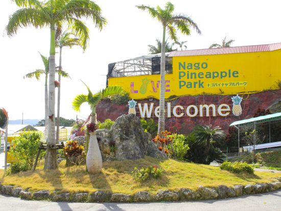 名護パイナップルパーク入場チケット  ベルトラ沖縄ラウンジ受け取り 事前引き換えで楽々入館 ラウンジ来店特典付き！＜当日予約可／即予約確定＞