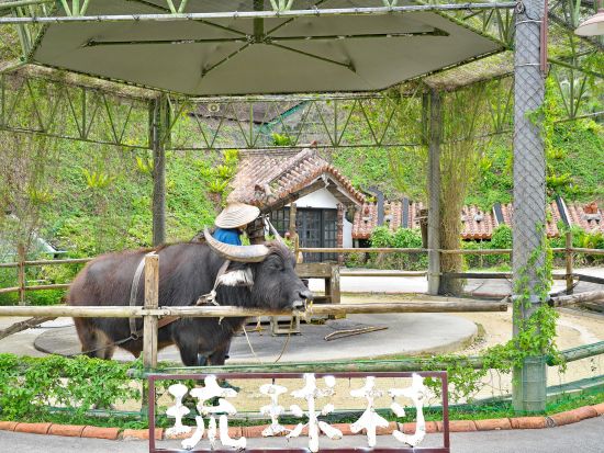 琉球村入場チケット  ベルトラ沖縄ラウンジ受け取り 事前引き換えで楽々入館 ラウンジ来店特典付き！＜当日予約可／即予約確定＞