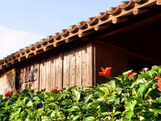 おきなわワールド入場チケット  ベルトラ沖縄ラウンジ受け取り 事前引き換えで楽々入館 ラウンジ来店特典付き！＜当日予約可／即予約確定＞