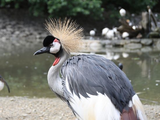 ネオパークおきなわ入場チケット  ベルトラ沖縄ラウンジ受け取り 事前引き換えで楽々入館 ラウンジ来店特典付き！＜当日予約可／即予約確定＞