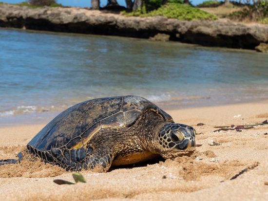 0FC55FAD-B328-4539-ABCB-83F645955A99