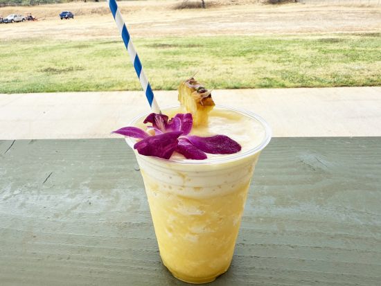 ダイヤモンドヘッド日の出ハイキングツアー　パワースポットから眺める絶景パノラマビュー！＜午前／日本語または英語ドライバー＞