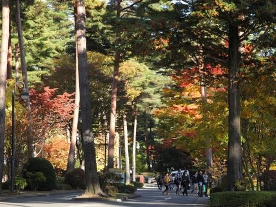 web_ImageView3.aspx (18)