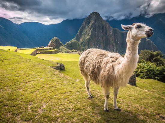【ハイラムビンガムで行く】世界遺産マチュピチュ遺跡1泊2日宿泊ツアー　憧れのハイラムビンガム号でラグジュアリーな鉄道旅＜日本語ガイド／クスコ発着＞