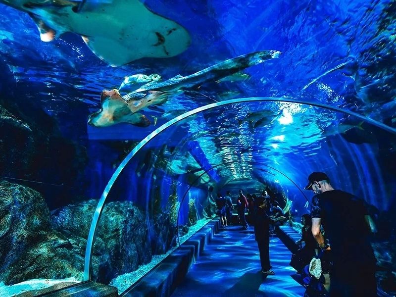 Sea-Life-Bangkok-Ocean-World-1200x600