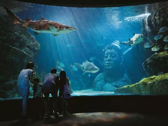 シーライフ・バンコク・オーシャンワールド (Sea Life Bangkok Ocean World) 　チケット事前予約サービス ＊即予約確定