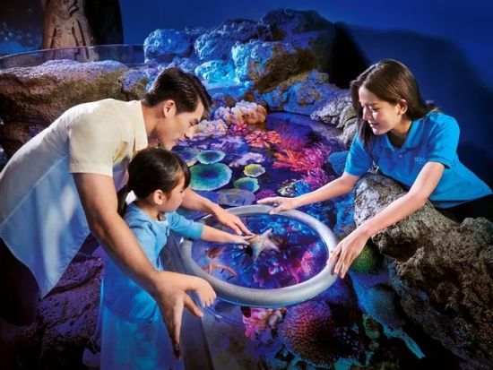 シーライフ・バンコク・オーシャンワールド (Sea Life Bangkok Ocean World) 　チケット事前予約サービス ＊即予約確定