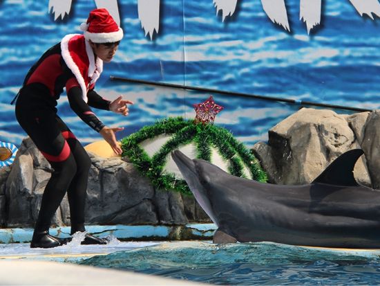 サファリ・ワールド (Safari World)　サファリパークまたはマリンパーク　チケット事前予約サービス ＊即予約確定