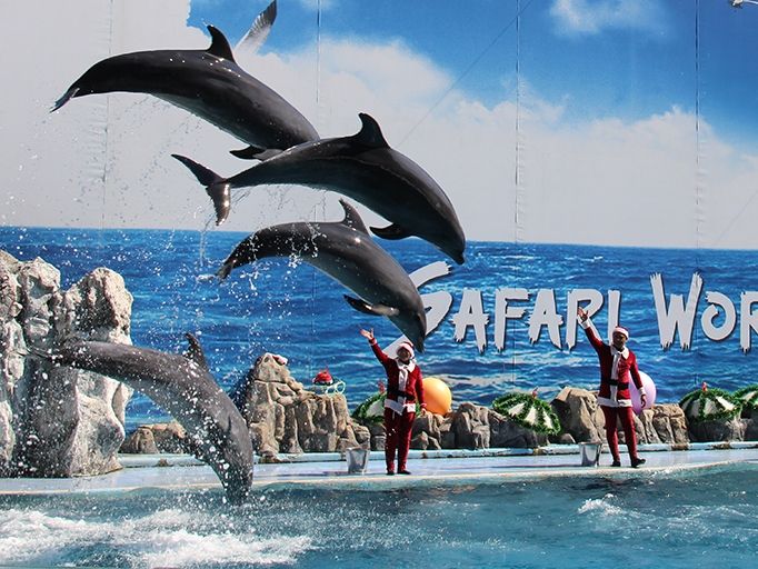 水族館 | バンコク 旅行の観光・オプショナルツアー予約 VELTRA