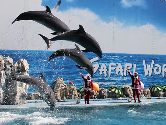 サファリ・ワールド (Safari World)　サファリパークまたはマリンパーク　チケット事前予約サービス ＊即予約確定
