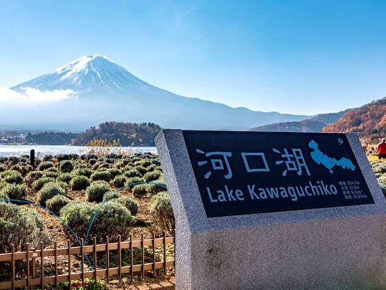 【東京⇔河口湖】高速直行バスチケット 河口湖で富士山の絶景を満喫！事前予約で安心の旅＜片道＞