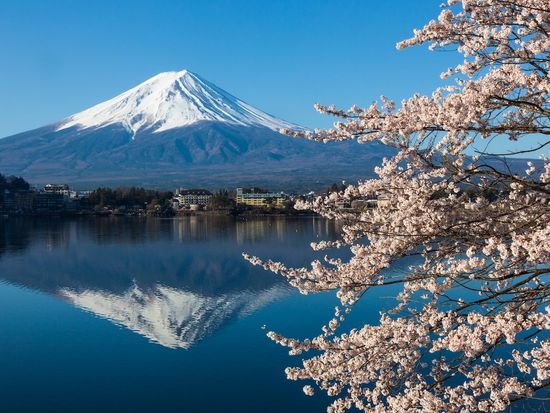 IMZJ4_30bca9ef-dab1-470c-b476-2db615636a62