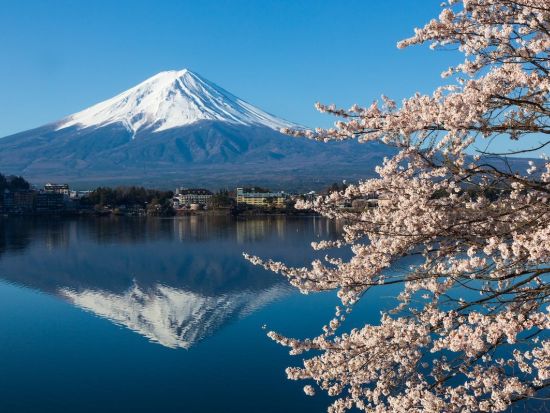 【東京⇔河口湖】高速直行バスチケット 河口湖で富士山の絶景を満喫！事前予約で安心の旅＜片道＞