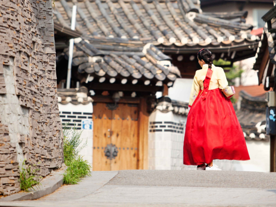 チマチョゴリ（韓服）レンタル＆北村韓屋村さんぽツアー 韓服姿で巡る北村韓屋村×フォトジェニックスポット＜日本語ガイド／午前or午後／貸切or混乗＞