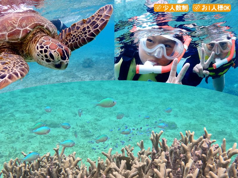 【半日】ビーチシュノーケリングTOP