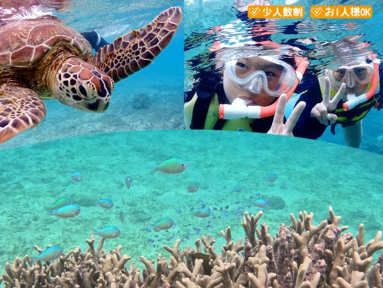 【北部開催・空港周辺 送迎付き】ビーチシュノーケリング半日ツアー！奄美ブルーに包まれて癒しのひととき＜女性ネイチャーガイドがご案内＞ by Oceania