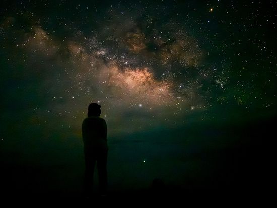 マングローブカヤック＆ナイトツアー15