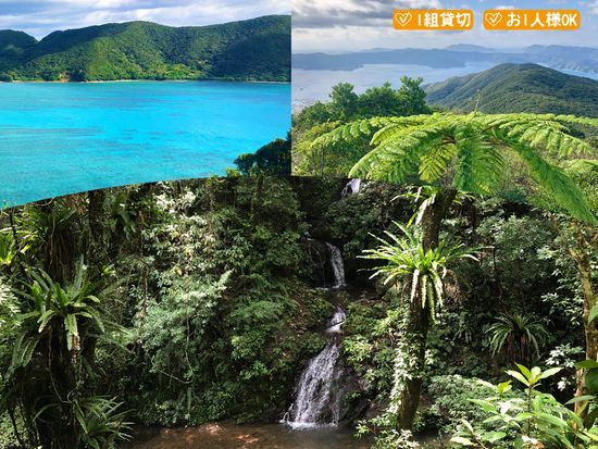 【1日】ネイチャーヒーリングツアー